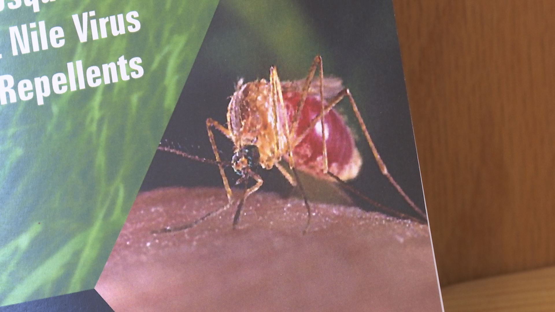 No West Nile reported in Southern Oregon yet KOBITV NBC5 / KOTITV NBC2