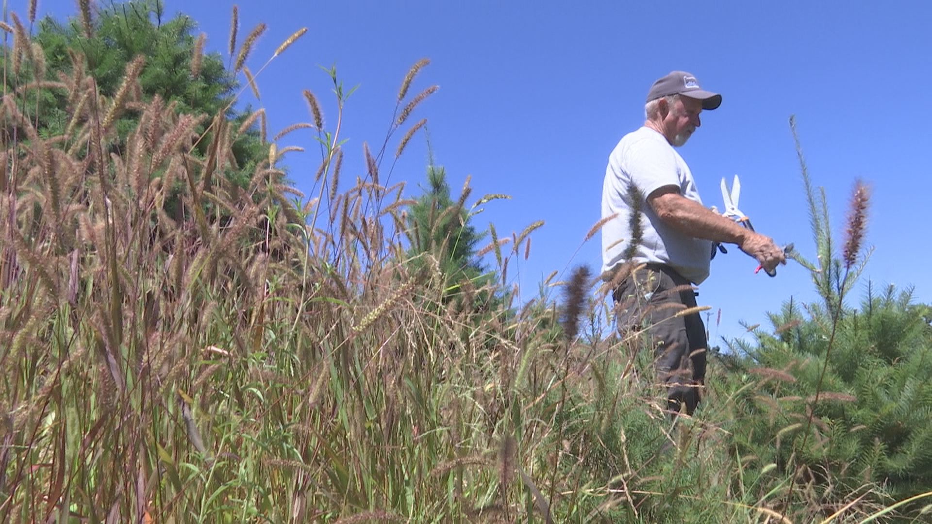 Owner of local Christmas tree farm reveals new home, after old house