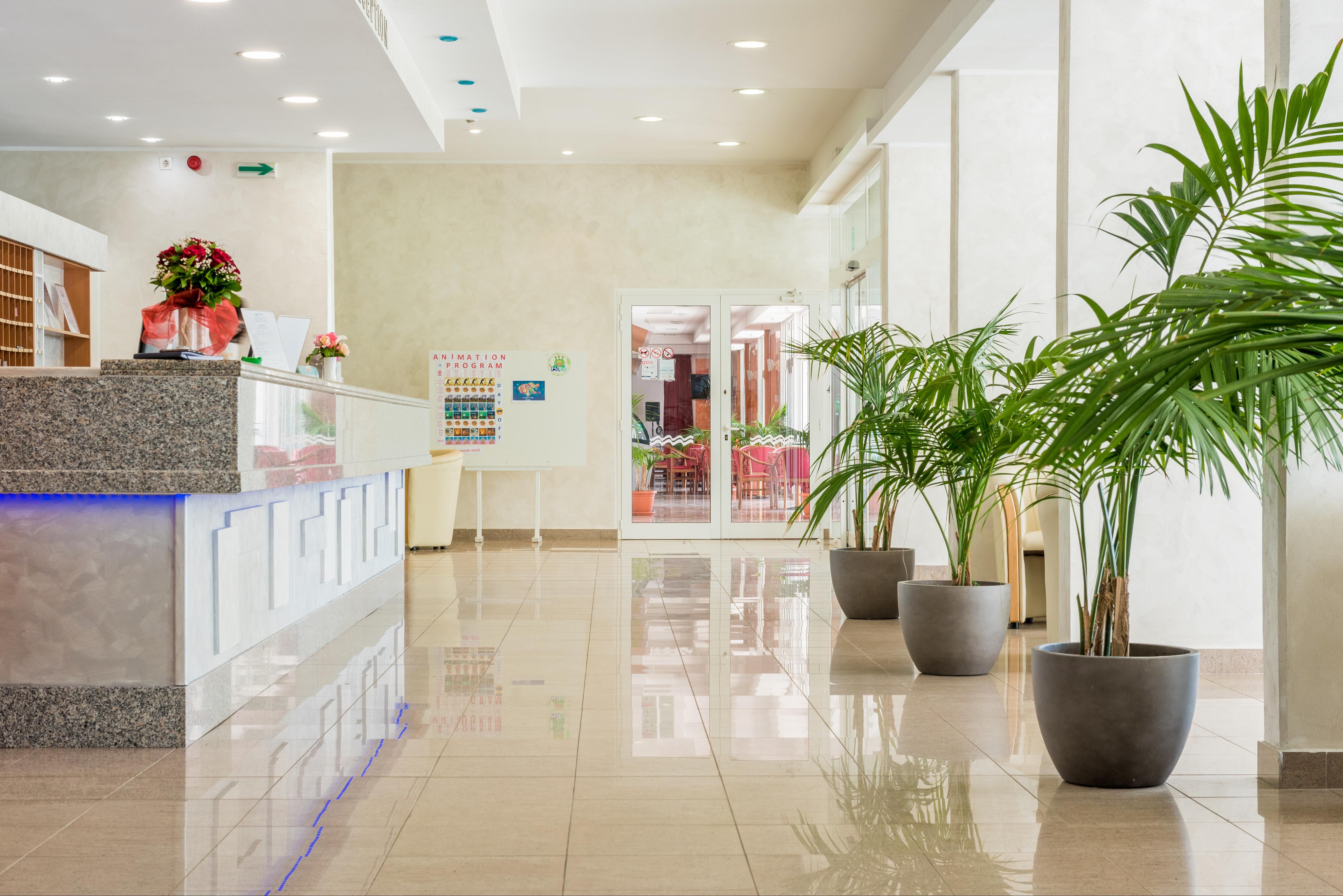 Hotel HEDERA Rabac