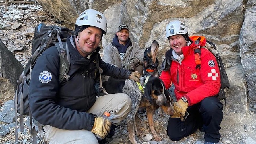 Two dogs rescued after spending three days in American Fork Canyon