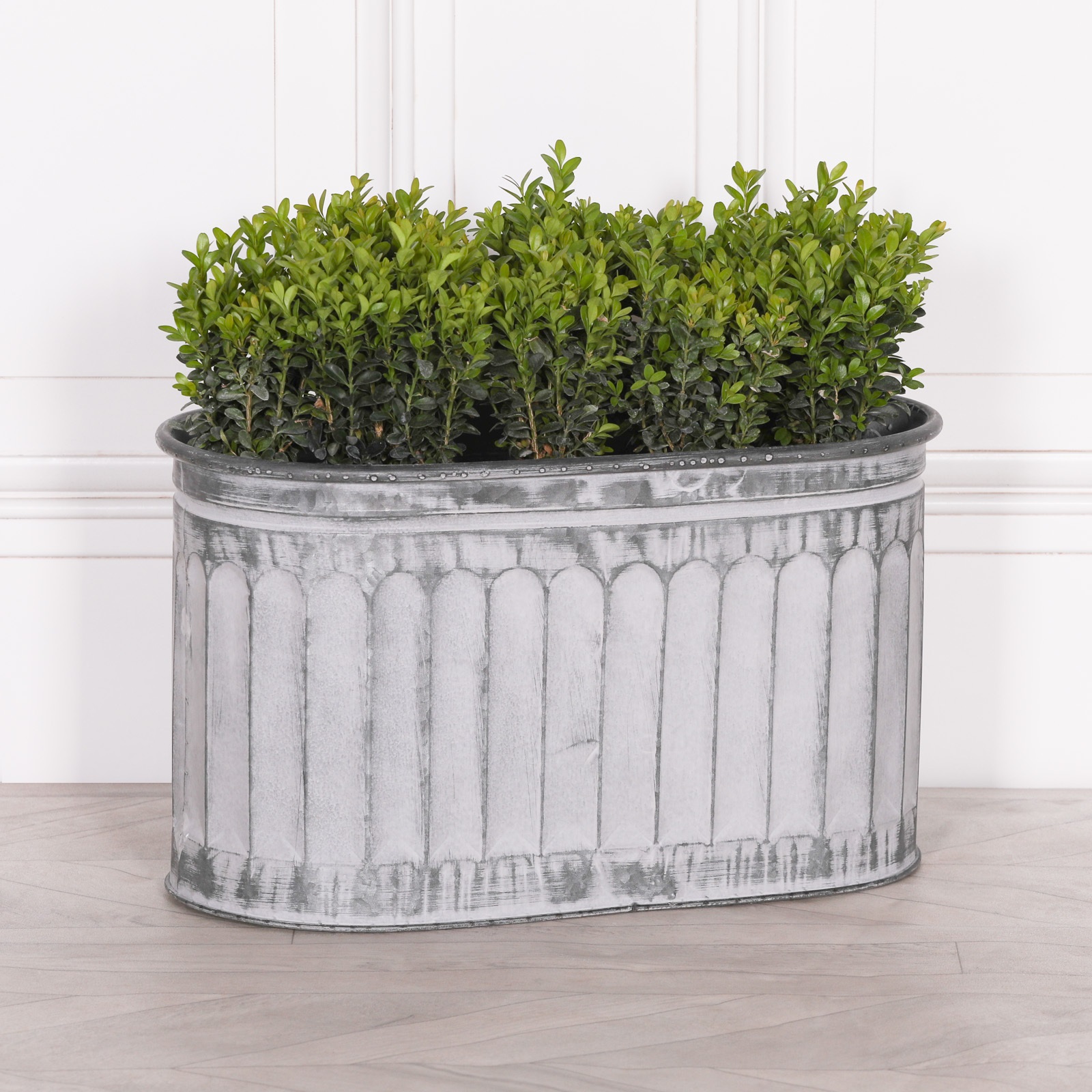 Alyvia Vintage Rustic Style Galvanised Metal Tin Arched Pattern Planter