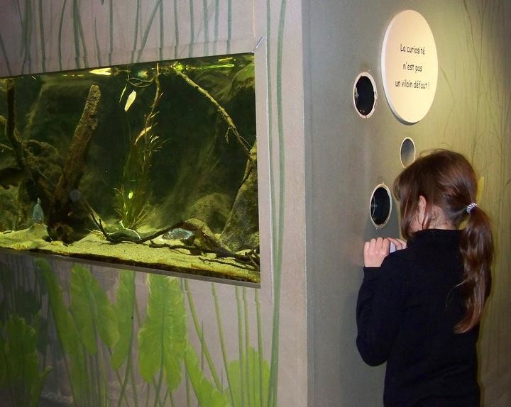 Aquarium des Curieux de Nature BelleIsleenTerre Côtes d'Armor