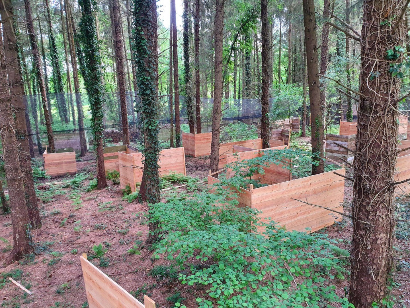 Impulsion Paintball Plédran Côtes d'Armor