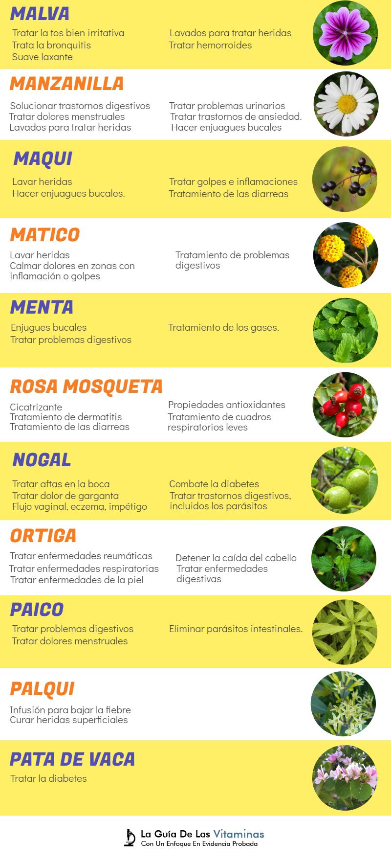 44 plantas medicinales, para qué sirven y como cultivarlas La Guía de