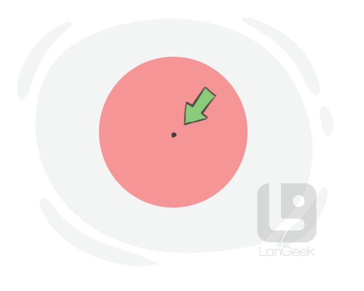 Traducción de la palabra "Middle" | LanGeek