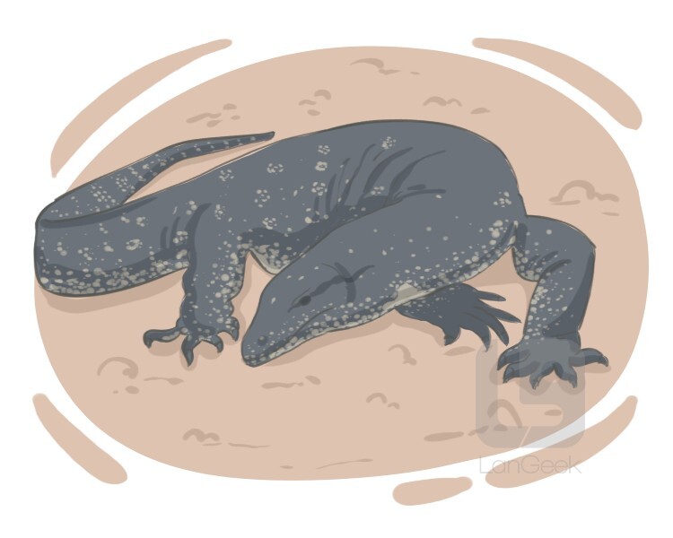 Definition & Meaning of "Monitor" LanGeek