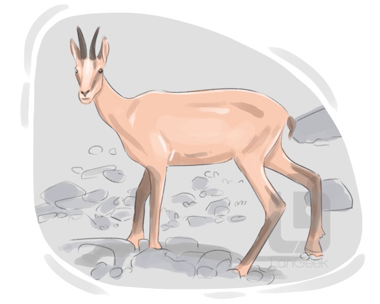 Definition & Meaning of "Chamois" LanGeek