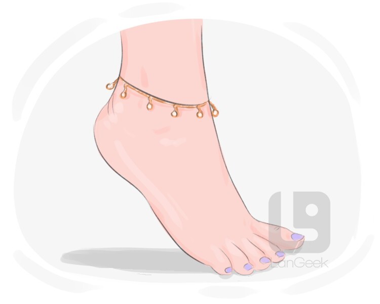 Definition & Meaning of "Anklet" LanGeek