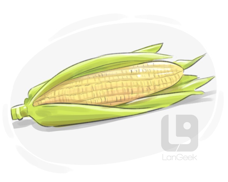 Definition & Meaning of "Indian corn" LanGeek