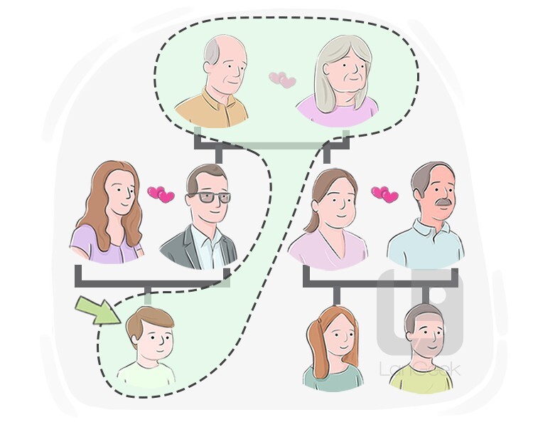 Definition & Meaning of "Grandson" LanGeek