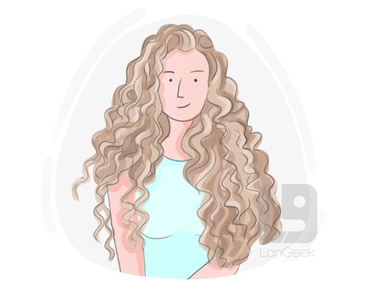 Definition & Meaning of "Curl" LanGeek