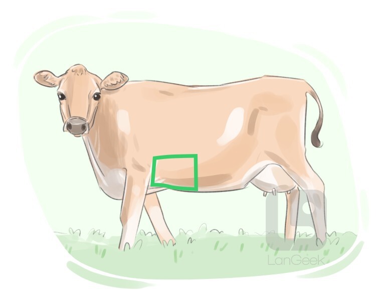 Definition & Meaning of "Beef plate" LanGeek