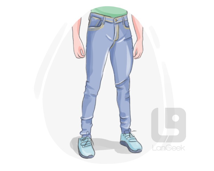 Definition & Meaning of "Skinny jeans" LanGeek