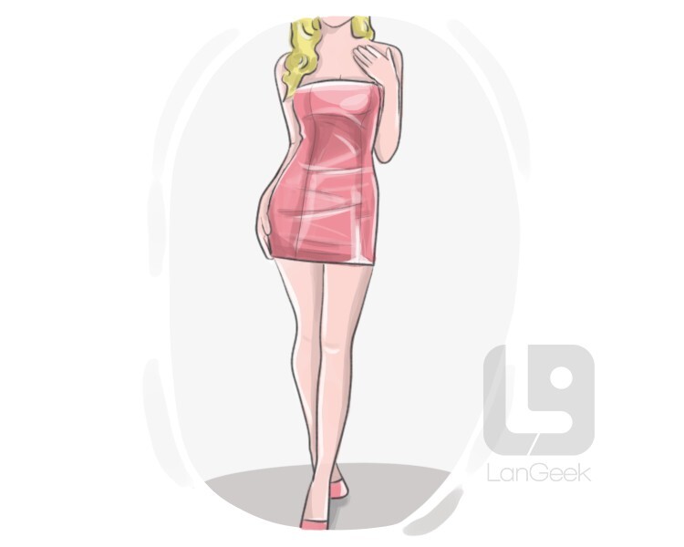 Definition & Meaning of "Mini dress" LanGeek