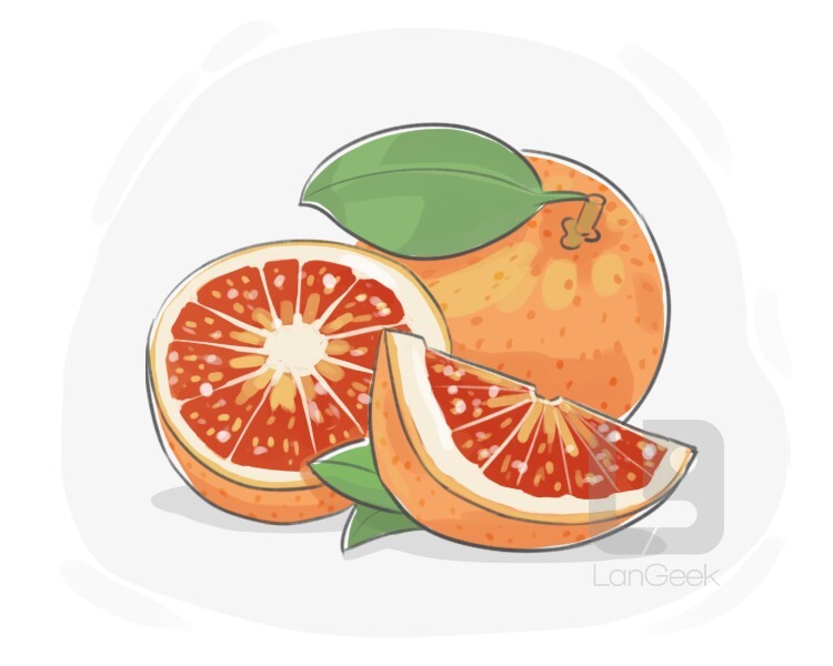 Definition & Meaning of "Blood orange" LanGeek