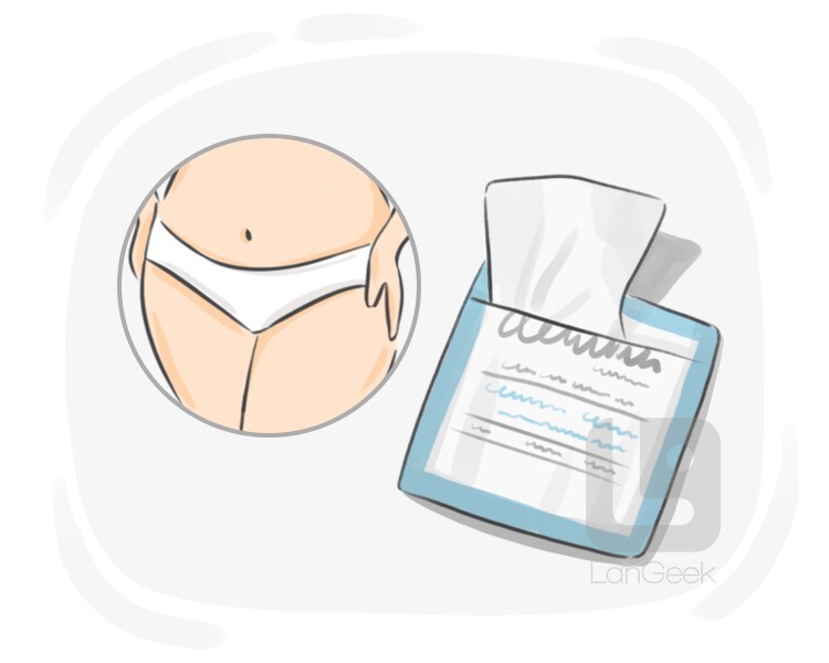 Definition & Meaning of "Feminine wipe" LanGeek