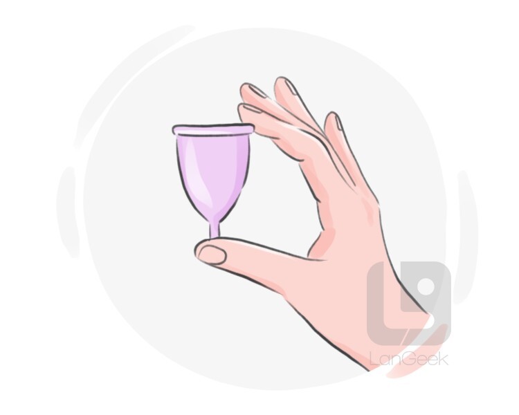 Definition & Meaning of "Menstrual cup" LanGeek