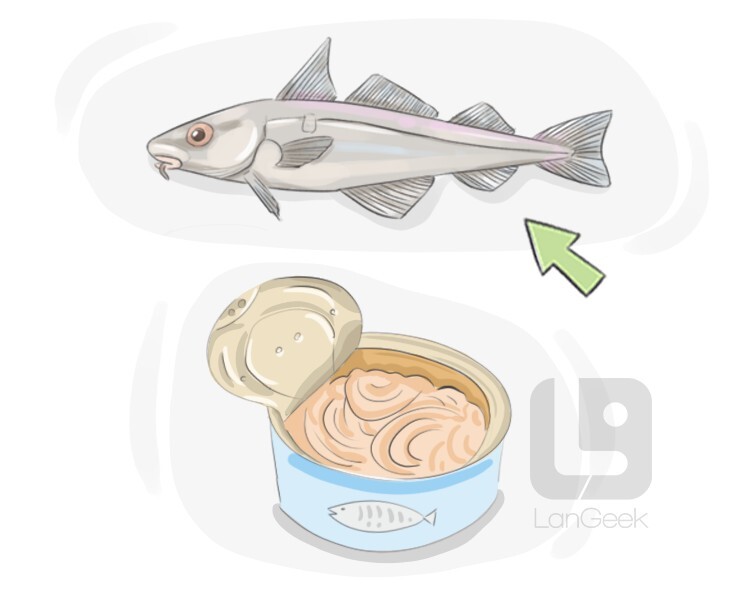 Definition & Meaning of "Perishable" | LanGeek