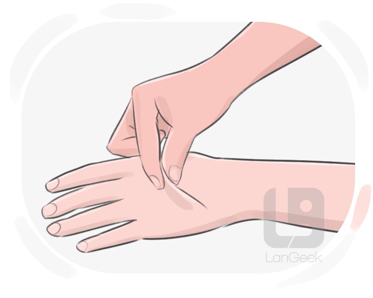 Definition & Meaning of "Squeeze" LanGeek