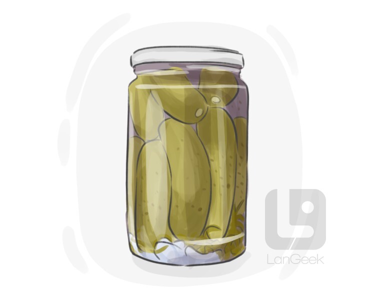 Definition & Meaning of "Pickled" LanGeek