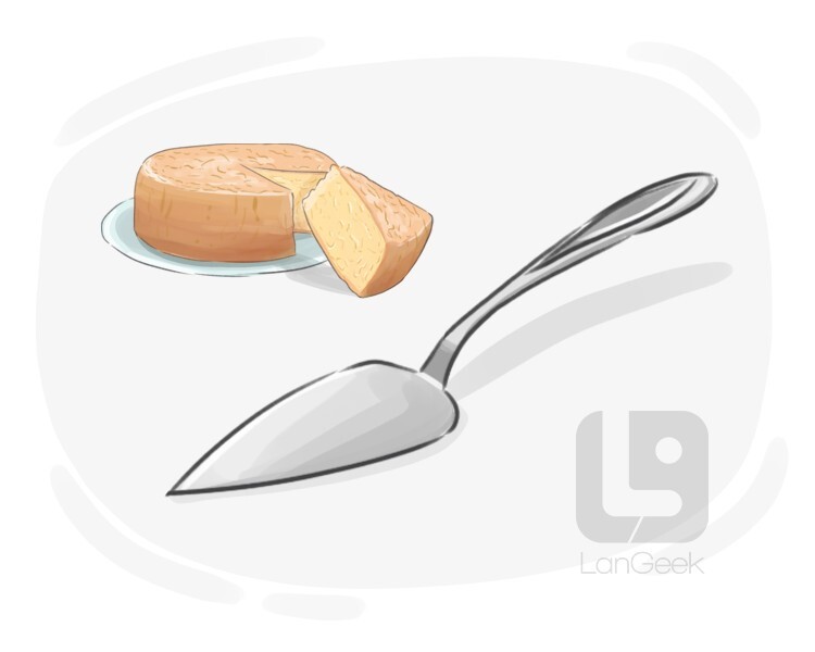 Definition & Meaning of "Cake and pie server" LanGeek