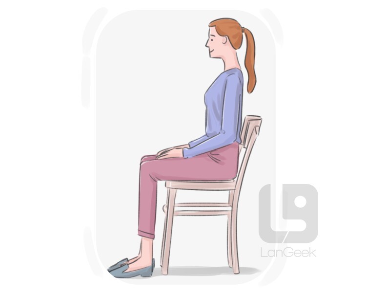 Definition & Meaning of "Straight as a ramrod" LanGeek