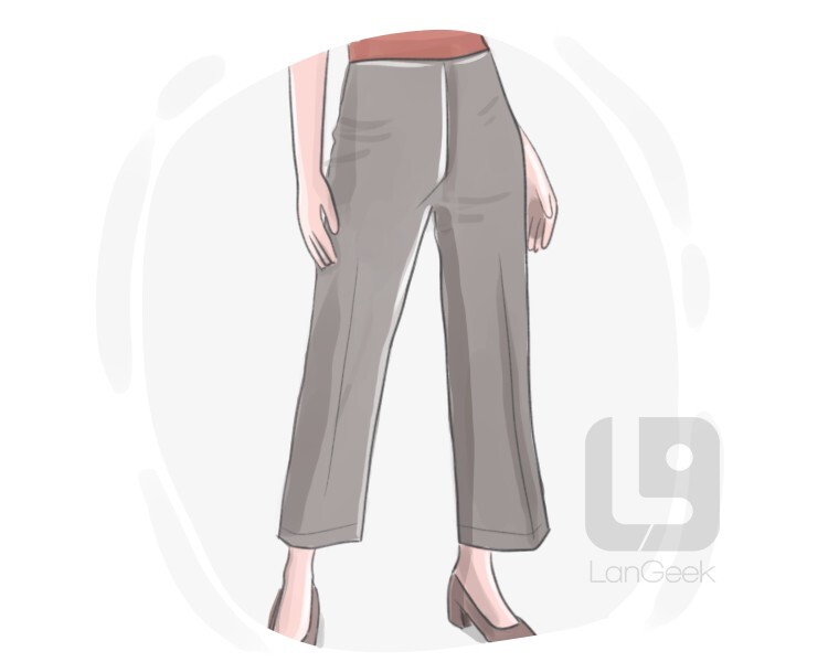 Definition & Meaning of "Cropped pants" LanGeek