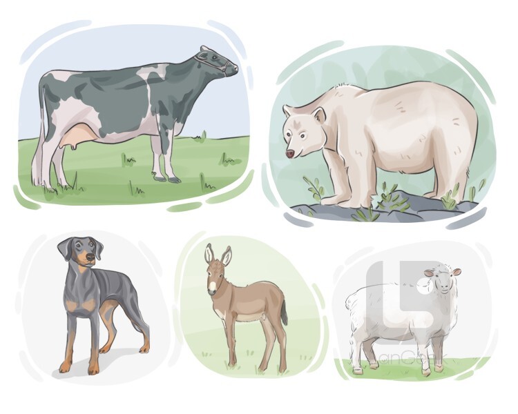 Definition & Meaning of "Fourfooted" LanGeek