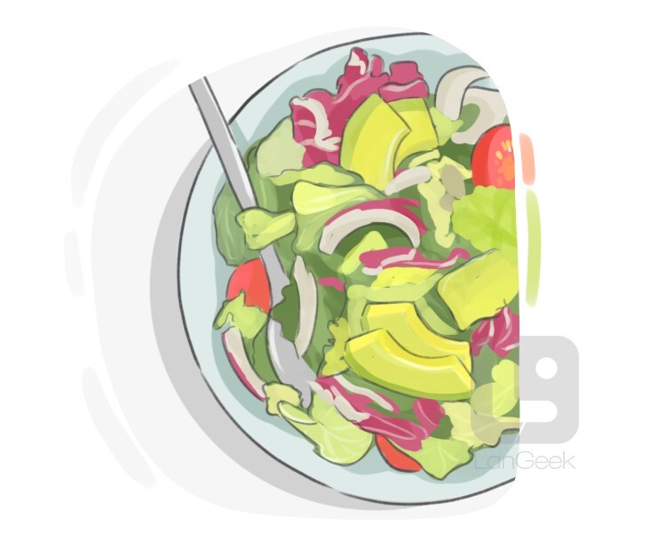 Definition & Meaning of "Mexican salad" LanGeek