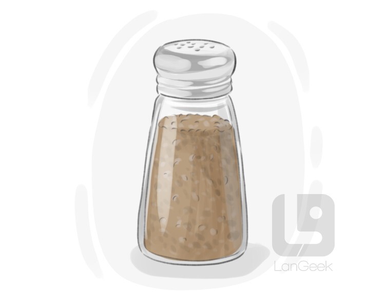 Definition & Meaning of "Pepper shaker" LanGeek