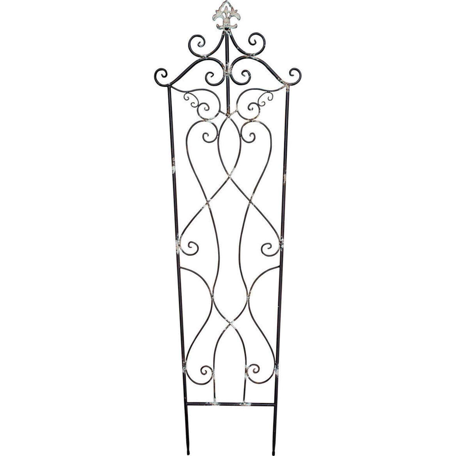 Wholesale Plant Trainer Vintage Australia Buy Homewares And Giftware