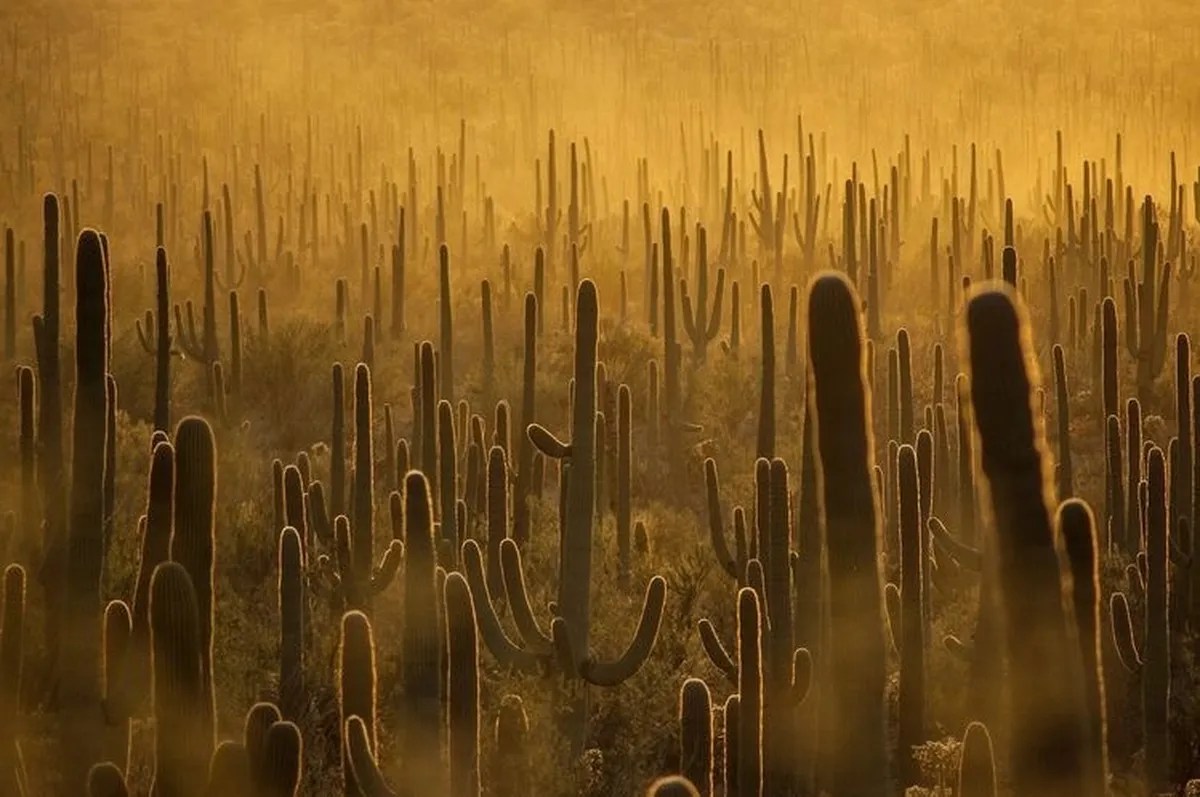 Callmeslooo / Exclusive Leaked Nude Onlyfans