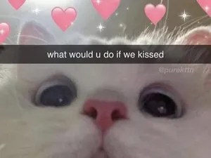 Cclaire / claire / dcclairee / Exclusive Leaked Nude Onlyfans