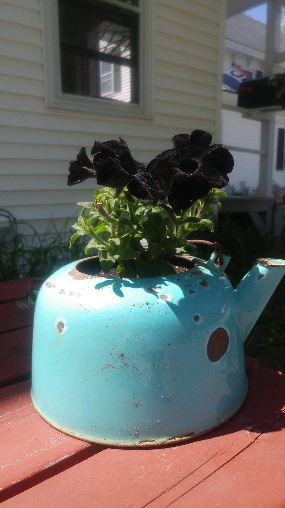 How To Make Your Own Chia Pet Learn Glass Blowing