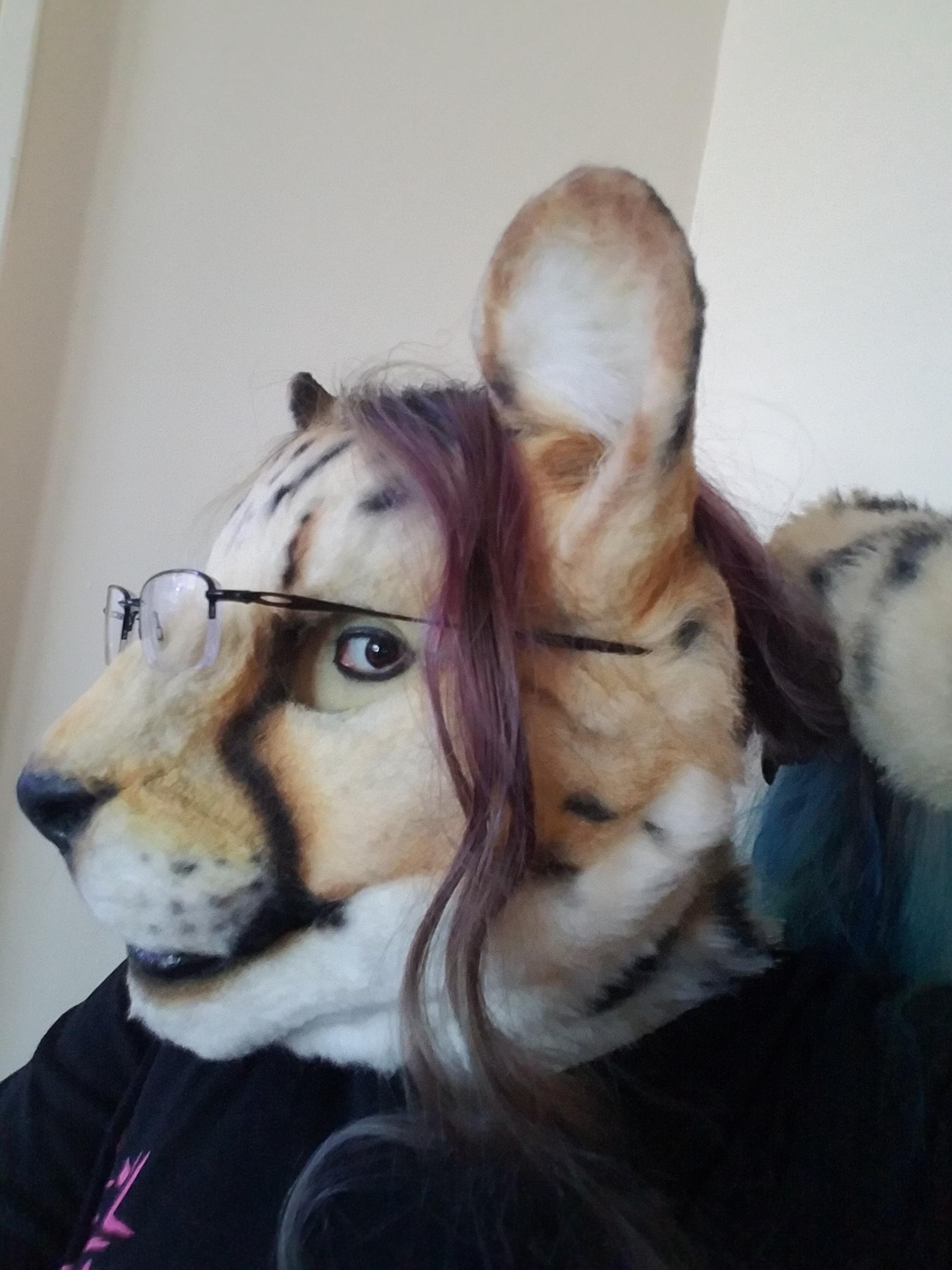 Fursuit Glasses A Quick Guide On How To Make Your Own Learn Glass