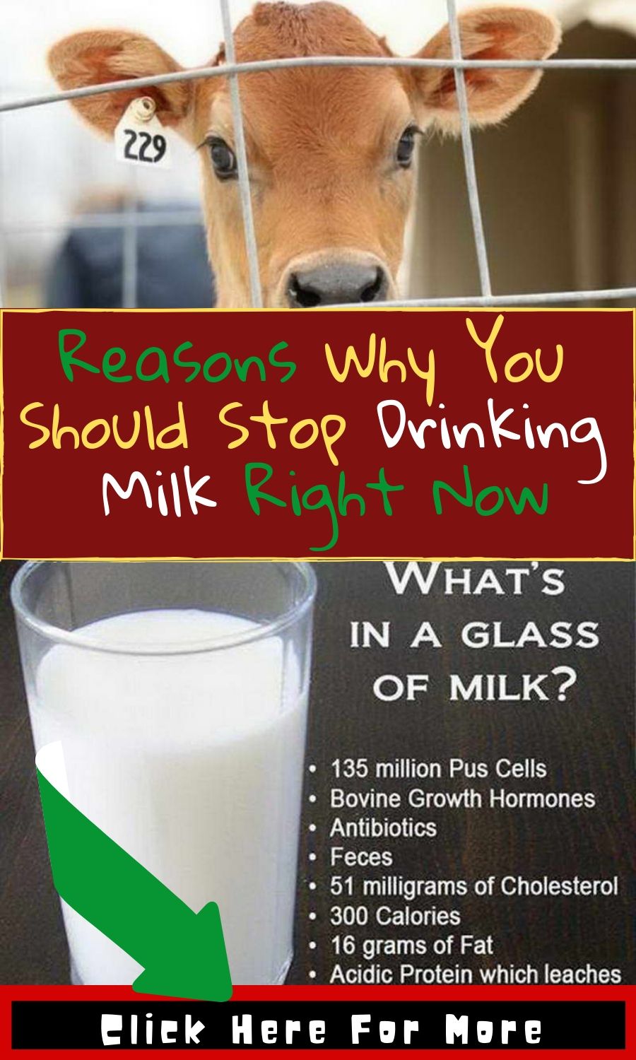 The Truth About Milk And Weight Gain Learn Glass Blowing