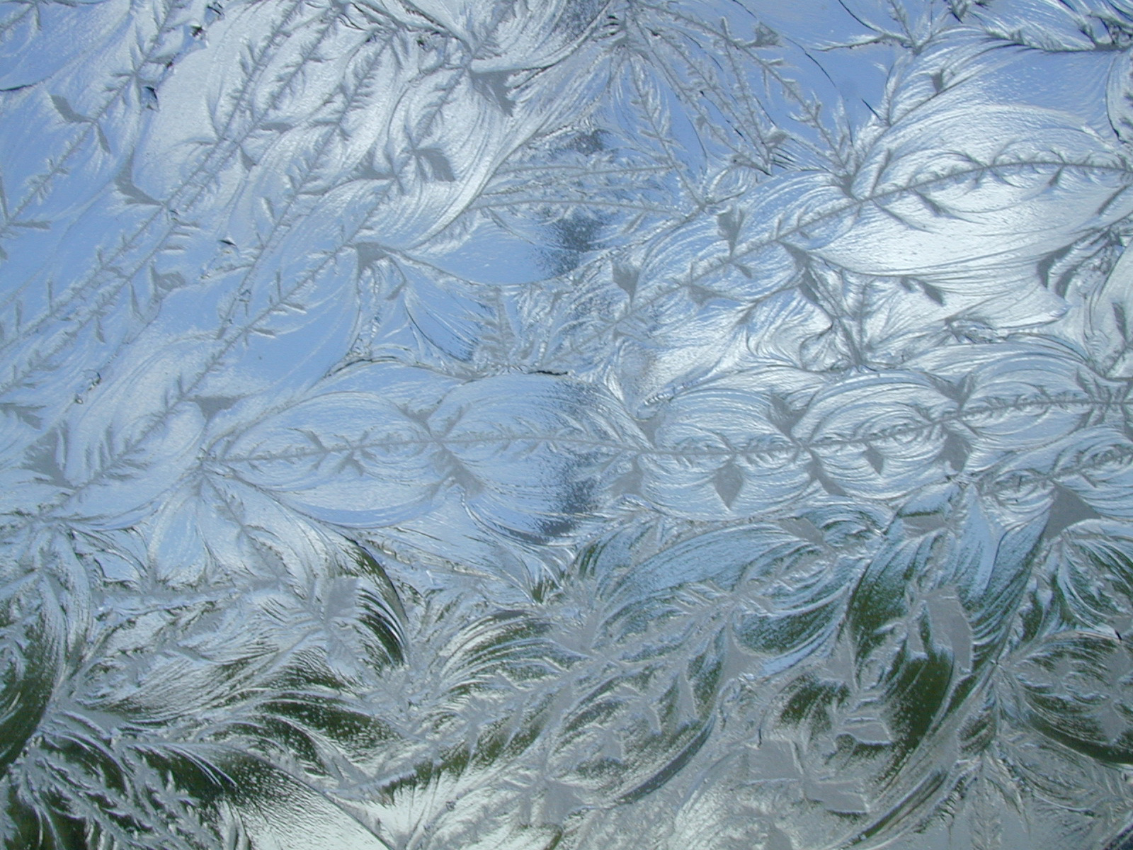 What Is The Difference Between Frosted And Obscure Glass Learn Glass