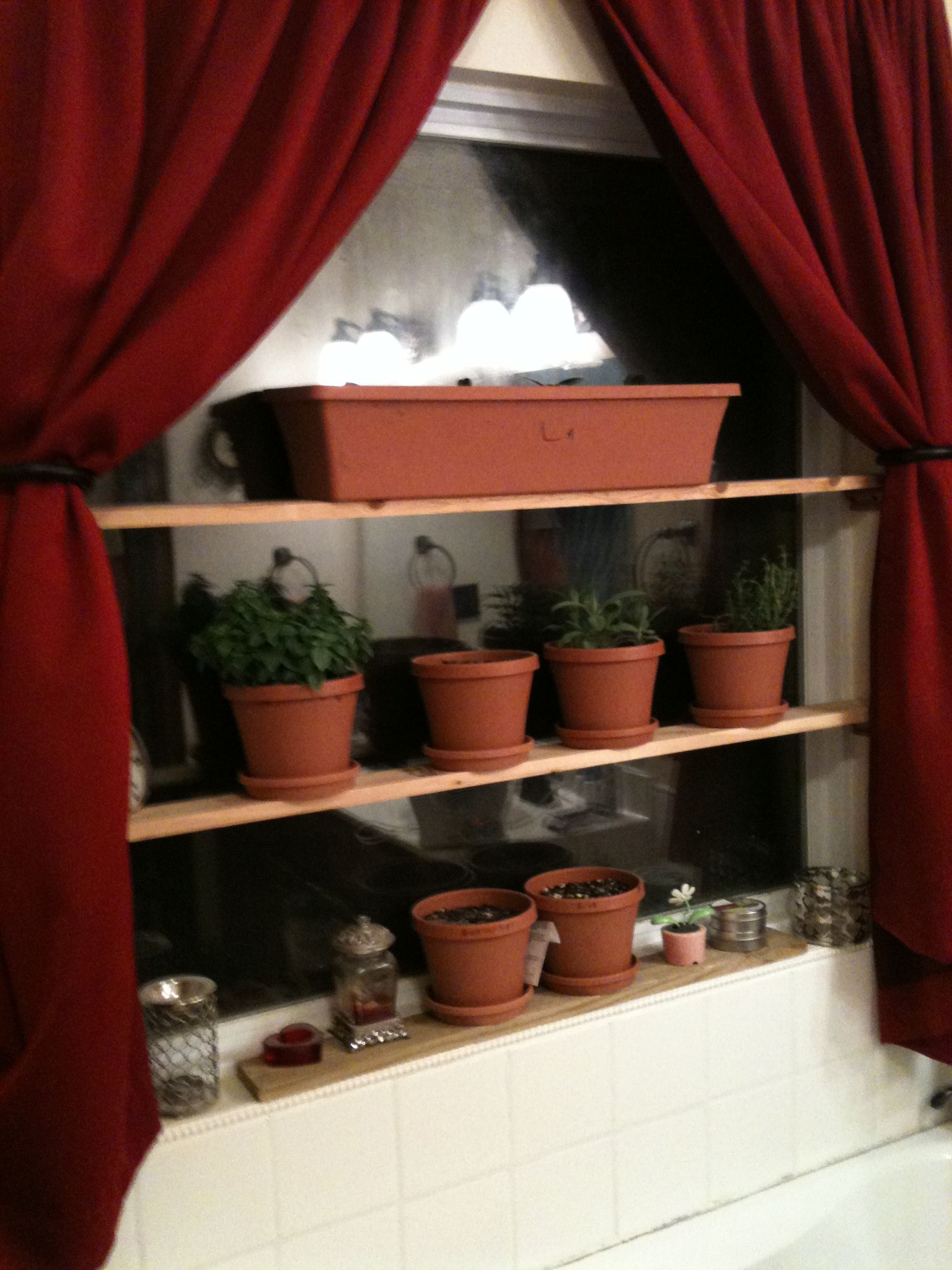 Does Tinted Glass Affect The Amount Of Light Plants Can Get? Learn