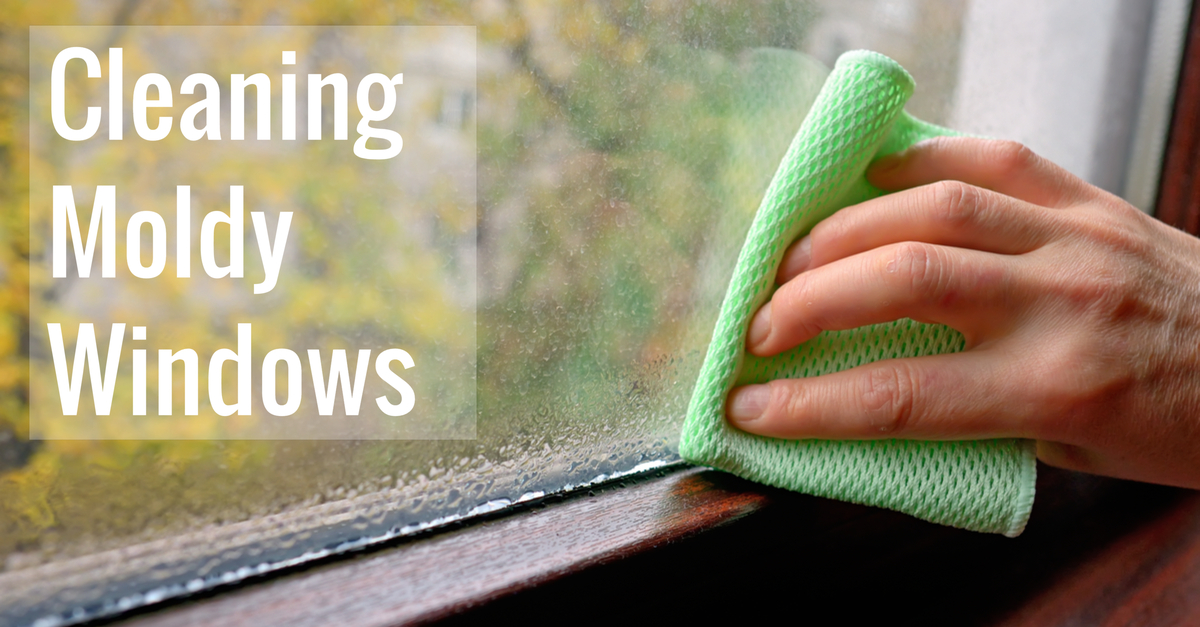 Removing Mold From Glass Windows A StepbyStep Guide To Keeping Your