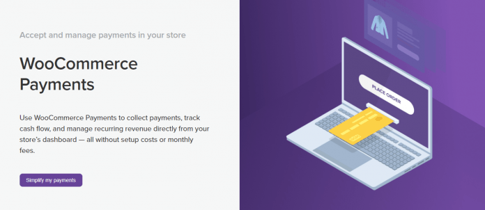 Add Afterpay to Your Squarespace Site — Agave Studio