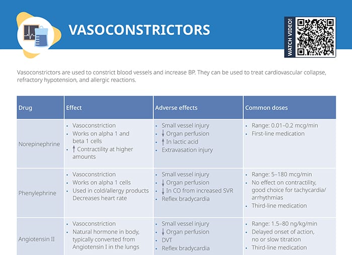 Vasodilators [+ Free Cheat Sheet] Lecturio Nursing