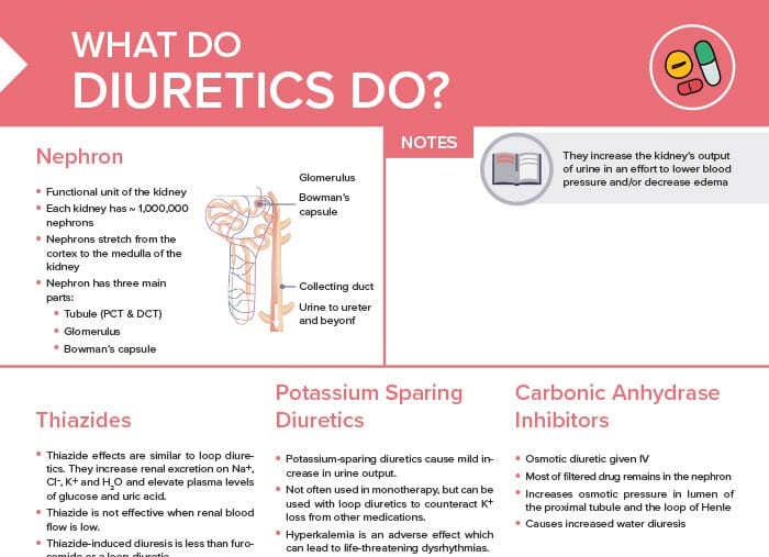 Diuretics MOA & Types [+ Free Cheat Sheet] Lecturio