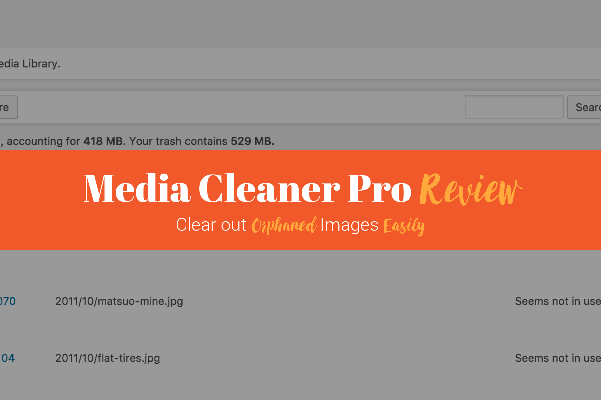 Media Cleaner Pro Review Best way to Remove Orphaned Images