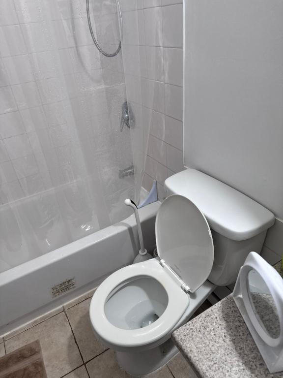 grand 4 et demi deux montagnes Usagé à louer à DeuxMontagnes LesPAC