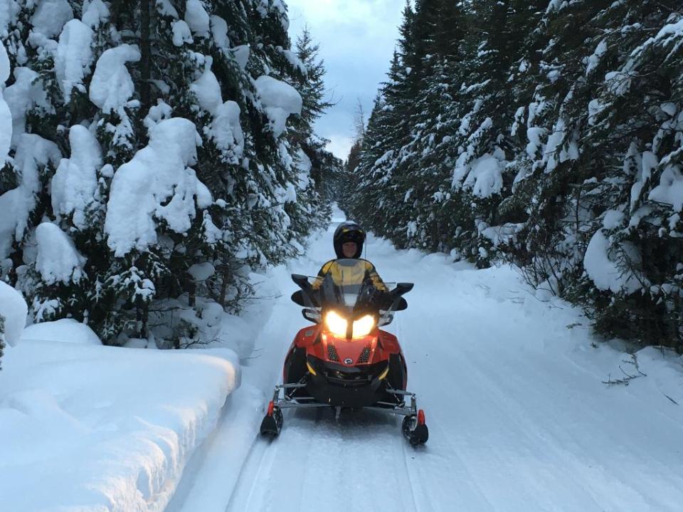 Chalets à louer, Lac TroisSaumons à vendre à StAubert