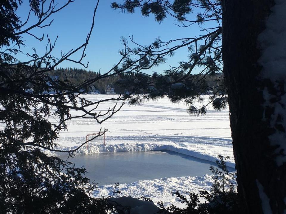 Chalets à louer, Lac TroisSaumons à vendre à StAubert
