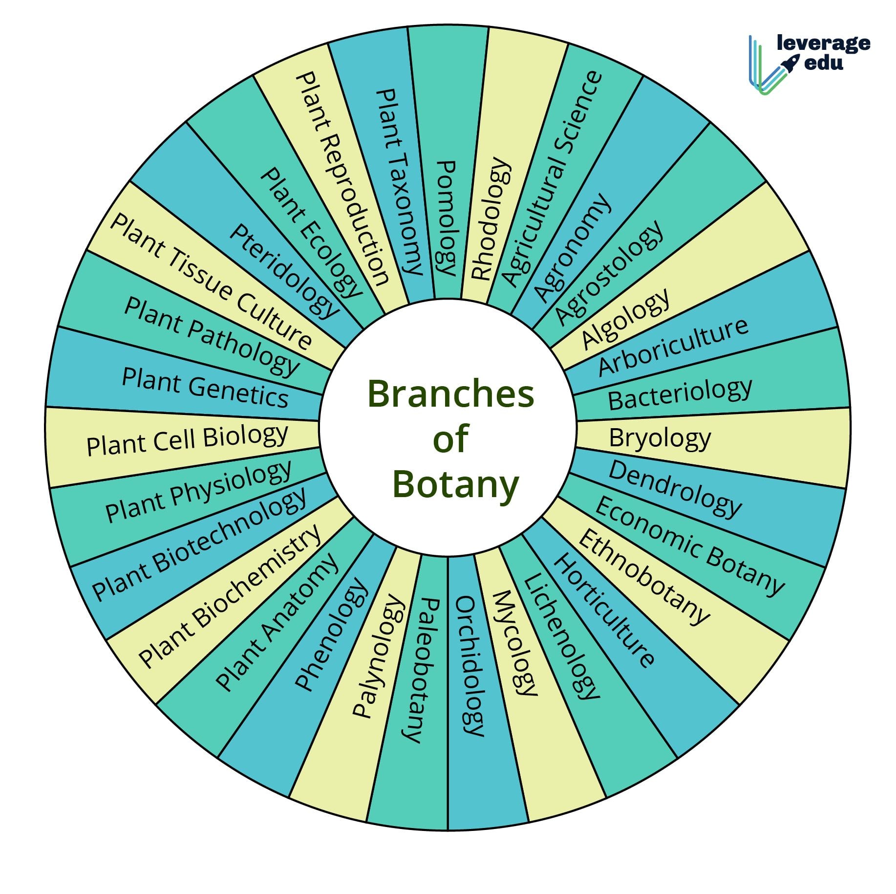 Branches of Botany Leverage Edu