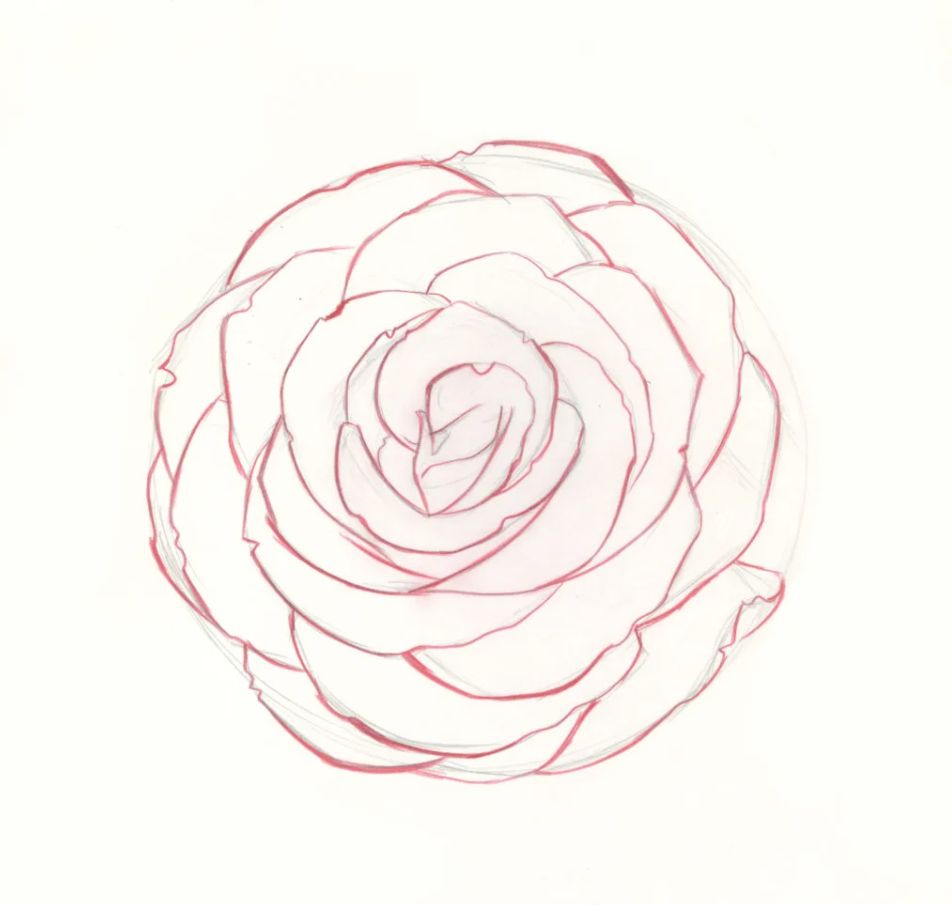 15 Easy How to Draw a Rose Ideas