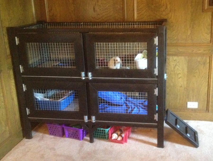 DIY Rabbit Hutch