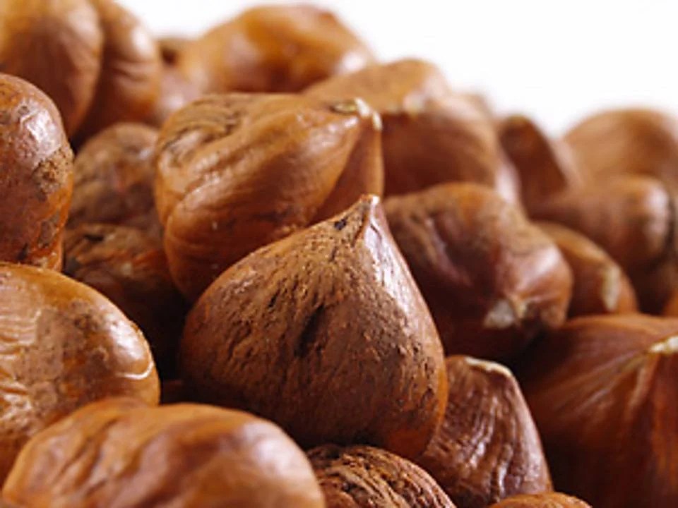 Hazelnut Meaning In Tamil MEANONGS